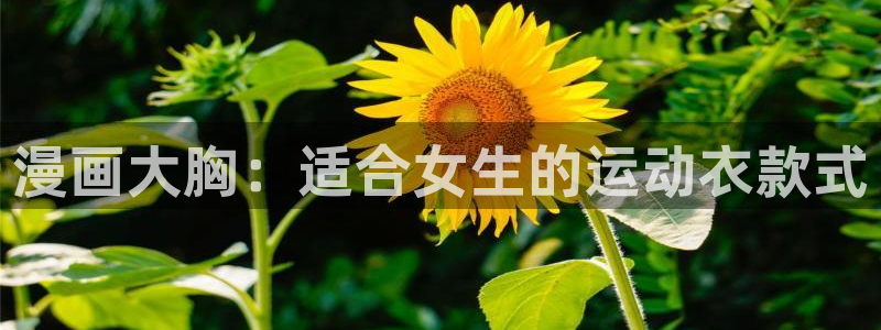 51漫画画网址推荐：漫画大胸：适合女生的运动衣款式