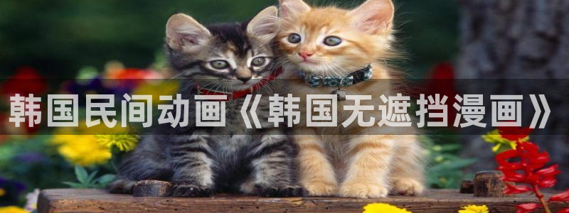 歪歪51漫画韩国漫画：韩国民间动画《韩国无遮挡漫画》