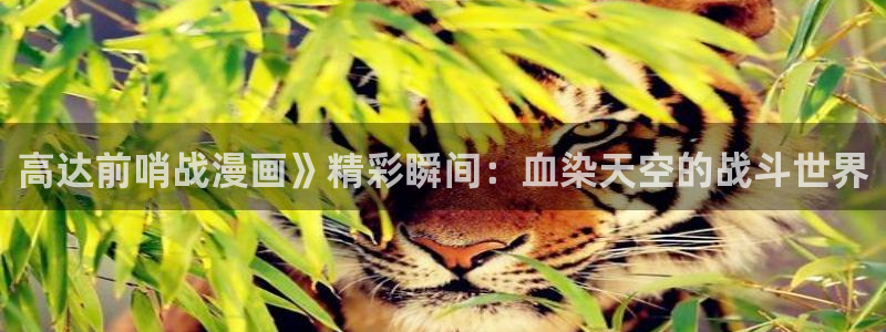 团宠51漫画画：高达前哨战漫画》精彩瞬间：血染天空的战斗世界