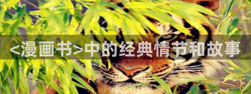 歪歪51漫画网址：<漫画书>中的经典情节和故事