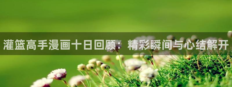 51漫画漫画免费观看全集：灌篮高手漫画十日回顾：精彩瞬间与心结解开