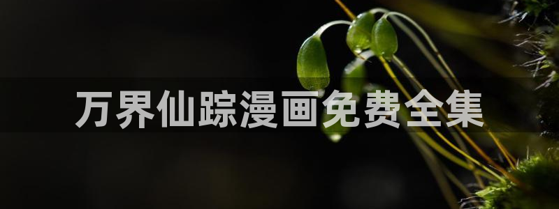 漫画网站51漫画：万界仙踪漫画免费全集