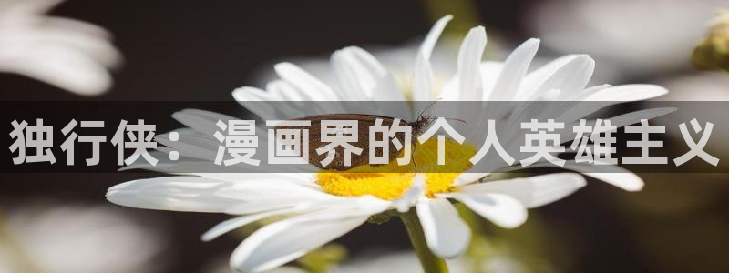 精品51漫画免费看：独行侠：漫画界的个人英雄主义